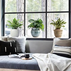 Potted Plants Window Clings 3pcs Simulated Green Leaves Multi-colored