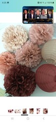Hanging Party Decorations Tissue Paper Pom Poms & Lanterns Decor for Any Occassi