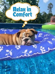 Upgraded Tear-Resistant Dog Pool Float – 25″ x 41″ Stable Support Inflatable …