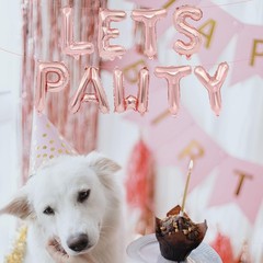 16 Inches LET’S PAWTY Letter Balloons Banner – Mylar Foil Alphabet Balloons S…