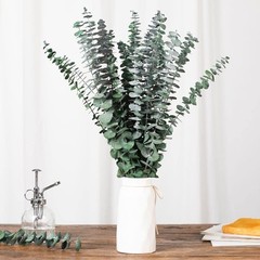 30 Pcs Dried Eucalyptus Stems for Shower, 17» Natural Real Preserved Green