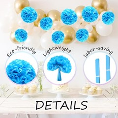 12 PCS Tissue Paper Pompoms Hanging Flowers Ball ZH/Sky Blue 10/12 Inch