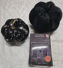Black Velvet Lace Sequin Pumpkins 5ft Spider Web Lights Party Gothic Decor