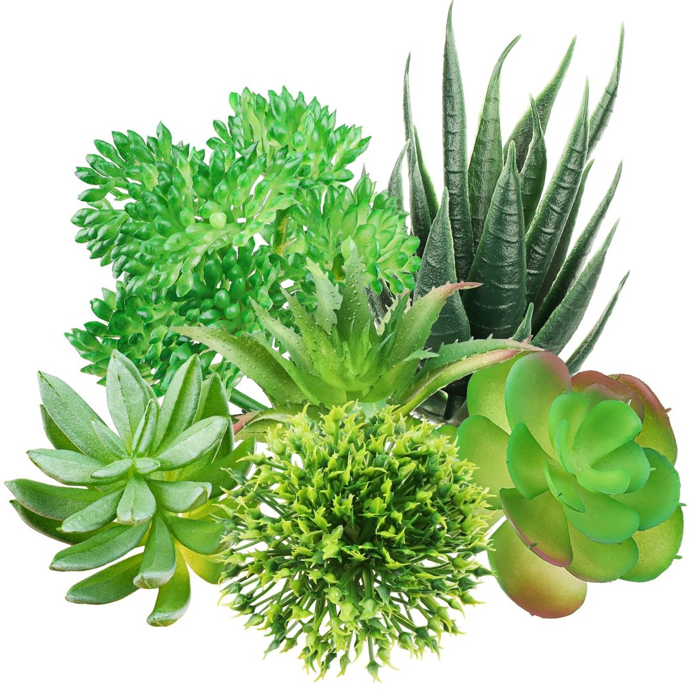 QUOZUO Green Succulent 1.4″ – 2.8″ in Width, 2.4″ – 5.1″ Length,