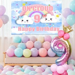 35 PCS On Cloud 9 Birthday Decoration for Girls – On Cloud 9 Backdrop, 32 inc…