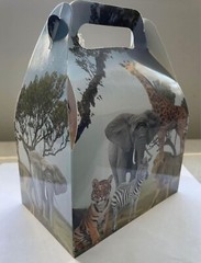 Safari Treat Boxes (9 count) for kid’s party
