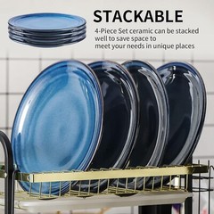 Hasense Ceramic Dinner Plates Set of 4, 10 Inch Large Porcelain Plates