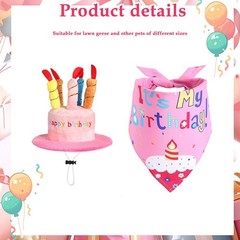 Cheerful Goose for costume Set for Outdoor Birthday Parties with Fun Accessories
