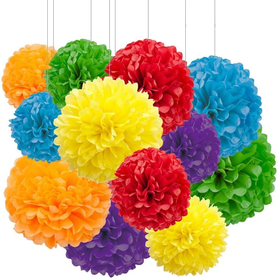 12pcs Rainbow Pom Poms Decorations for Party Ceiling Wall Hanging Tissue Flow…