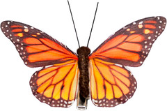 -Feather Fake Butterfly for Craft Decoration Set of 12 with Wire B B