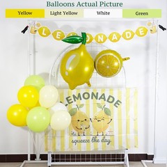 Lemonade Stand Supplies Kit with Lemonade Sign Banner and Lemon Balloons, Lem