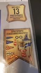Harry Potter Birthday Scene Setter