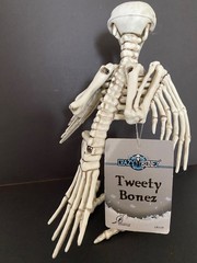 Crazy Bonez Skeleton Raven Model 18119