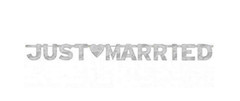 5.5 ft Just Married Silver Banner
