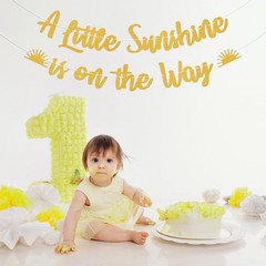 Boho Sunshine Baby Shower Decorations – A Little Sunshine is on the Way Banne…