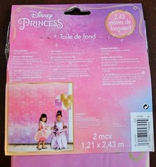 Disney Princess Once Upon a Time Kids Birthday Party Decoration Photo Backdrop
