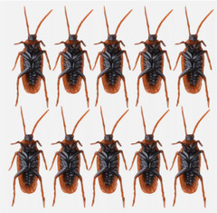 10X Prank Fake Roaches Plastic Cockroaches Creepy Roach Bugs Party Game Toy Gift