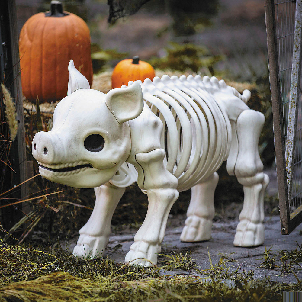 24 1/4″ Standing Pig Skeleton Halloween Decoration – Morris Costumes