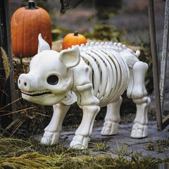 24 1/4″ Standing Pig Skeleton Halloween Decoration – Morris Costumes