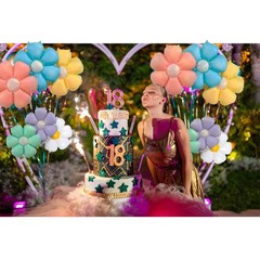 18pcs Daisy BalloonsColorful Flower Balloons Daisy Birthday Party Decorations…