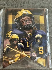 Michigan University