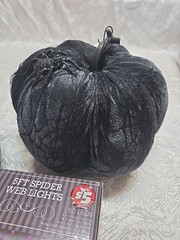 Black Velvet Lace Sequin Pumpkins 5ft Spider Web Lights Party Gothic Decor