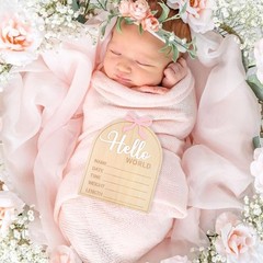 Wooden Hello World Baby Birth Announcement Sign Coquette Hello World Sign