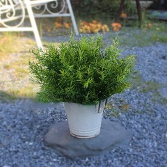 Toprooms Outdoor Faux Plants Greenery Artificial 12 Pcs, 1#outdoor