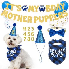 Dog Birthday Party Supplies Set – Bandana, Hat, Bow Tie, Collar & Decor for Medi