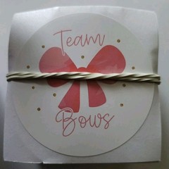 Gender Reveal Photo Props