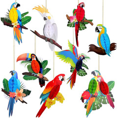 9 Pieces Tropical Birds Honeycomb Paper Cutouts Rio Luau Party Hanging Decoratio