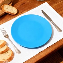 AOYITE Plastic Dinner Plates Reusable BPA Free 10 inch, Assorted Colors