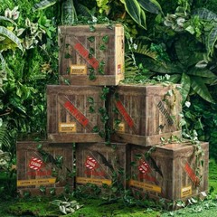 6 Pcs Dinosaur Party Decorations 12 x 12 x 12 Inch Dinosaur Theme Boxes Decor…
