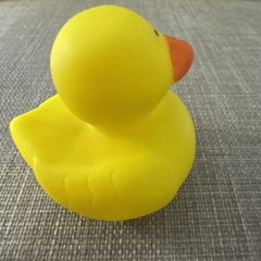 Yellow Rubber Ducks –  2 Inch Mini Size – Qty2: Dozen  Pack ! Jeep! Party’s!