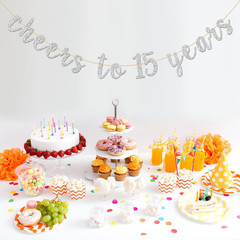 Glitter Silver Cheers to 15 Years Banner – Teenager 15Th Birthday Sign Bunting 1