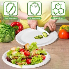 Oval Eco Friendly Disposable Plates – Large Heavy Duty Paper Plates 12 inch, …