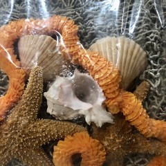 Sea Island Luau Decor Beach Theme Netting Shells Sea Stars