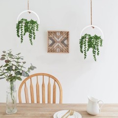 7.9 inches (W) x (H) x 0.8 (D), 1 Pcs Green Succulents
