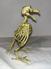 CROW SKELETON BIRD Poseable Halloween Prop Decoration 7.25″ Distressed FLAW