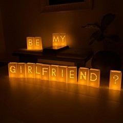 Romantic Luminary Bags Proposal Kit