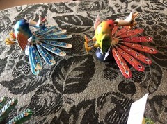12 Qty Bobble Magnets -Peacock Party Favors Fun 🤩