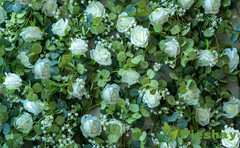 6FT Artificial Eucalyptus Garland with Flowers, 10 White Roses Baby Breath
