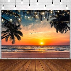 Summer Sunset Backdrop Hawaii Beach Scenery Photography Background Tropical