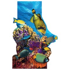 CORAL REEF WITH TROPICAL FISH 5′ 7″ Tall CARDBOARD CUTOUT Standup Standee