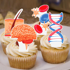 48Pcs Human Anatomy Party Cupcake Toppers Human Anatomy Body Part Birthday Party