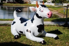 Jet Creations Cow Inflatable 76inch (193cm) Long