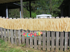 Hawaiian Luau Grass Raffia Fringe Banner Table Skirt for Tropical Birthday Party