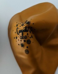 Graduation Party Decorations Kit Black Gold Silver Banner Balloons Paper Flowers