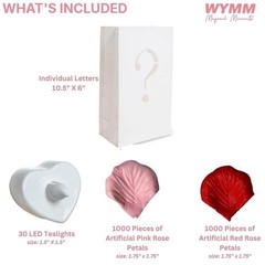 Romantic Luminary Bags Proposal Kit