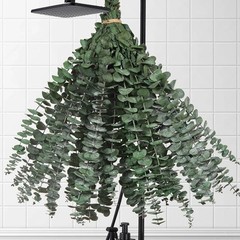 30 Pcs Dried Eucalyptus Stems for Shower, 17» Natural Real Preserved Green